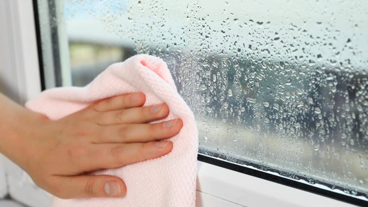 Signs You Need a Dehumidifier